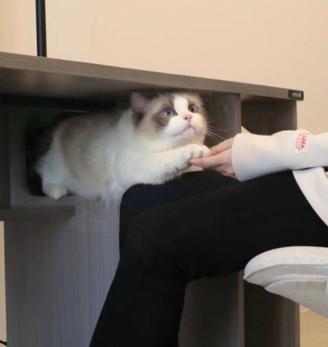 ���� ��� ���������� � ������ ��������� (5 ����)