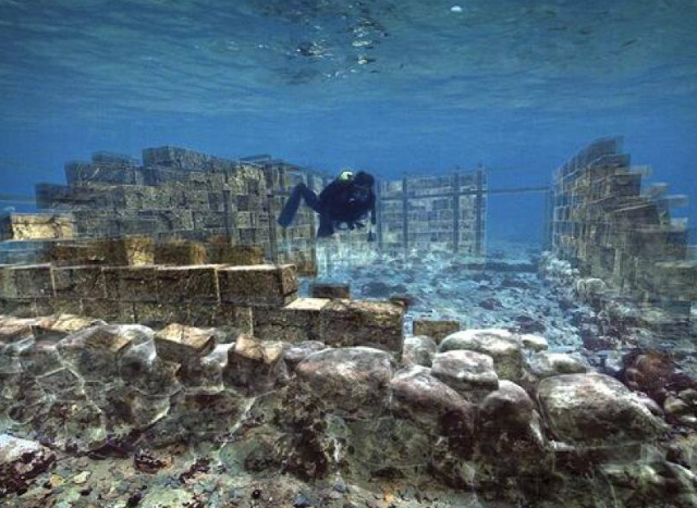 ���������� ����� ���������� (7 ����)