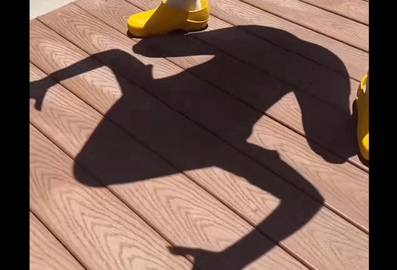 ������� (�����)