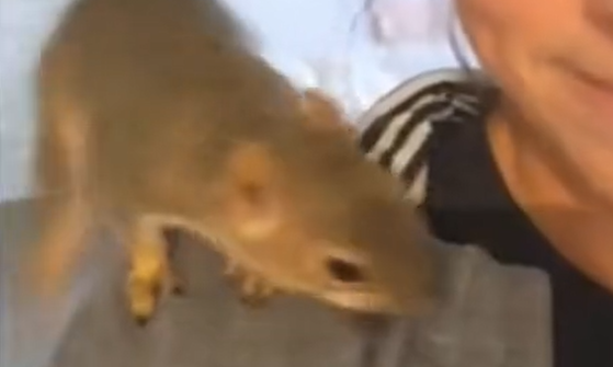 ����� � ���� ��� ������� ���� ��� (�����)