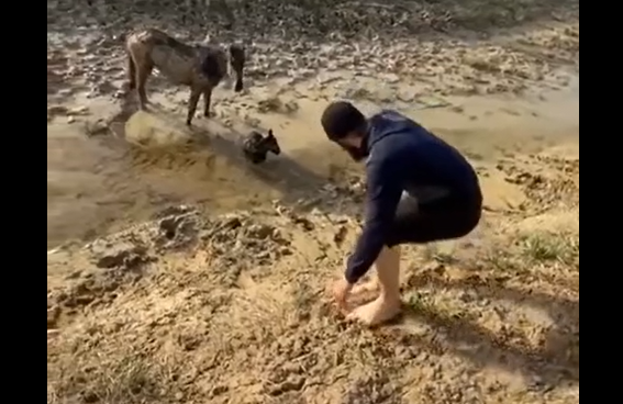 ������ ������������� ����������� � ������ (�����)