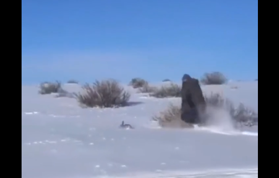 ������, ����� (�����)