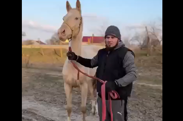 �� ���� ������� (�����)