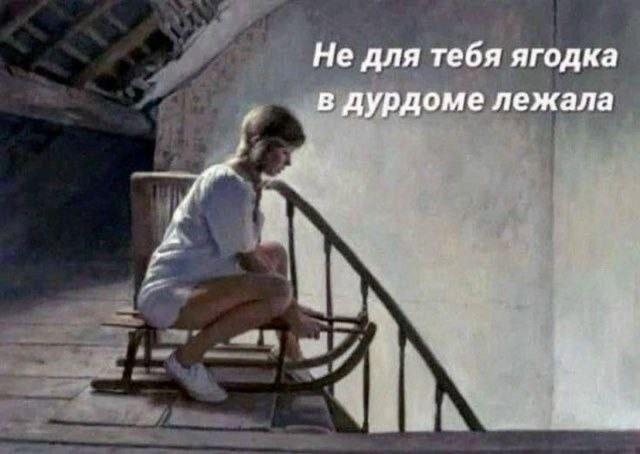 ������� ���� (15 ����)