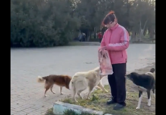 ����� ����� (�����)