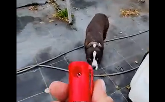 �, �� ���? ��� ���� ������ (�����)