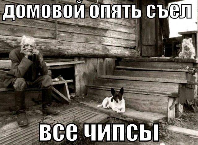 ������ ����� � ���� �� ���� (15 ����)