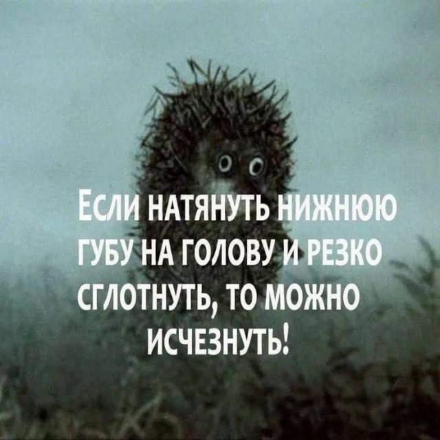 ������� ���� (15 ����)