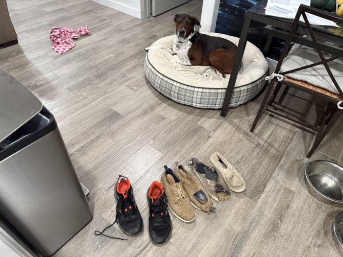 ���� �������������� ���������� (30 ����)