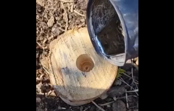 ��������� (�����)