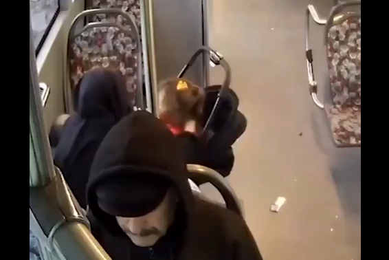 � ������ ������� ���� ������� � ������� ����� �������� (�����)