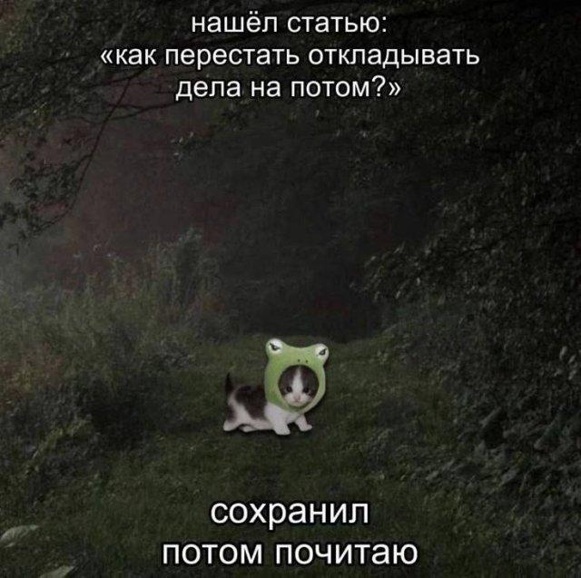 ������ ����� � ���� �� ���� (15 ����)