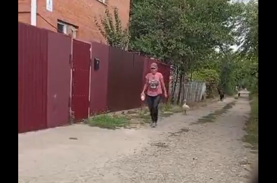 � ����� ��� �� ������ ������ (�����)