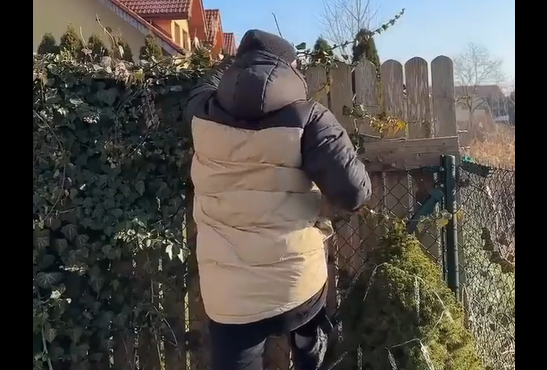 ������! (�����)