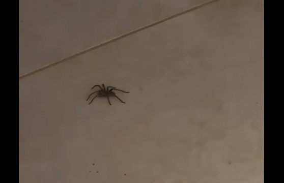 ��������� �� ���� ����������� (�����)