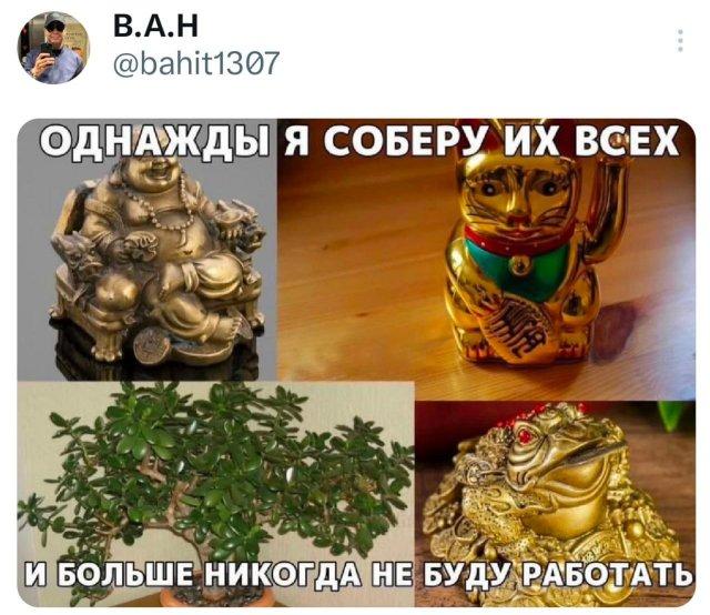 �������� �������� ������ ��� ���� (15 ����)