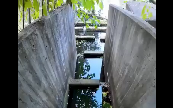 ����-����, ����-����, ������������� � ������ (�����)