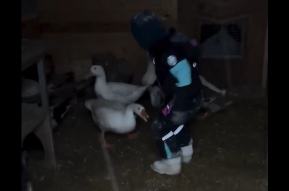 �������� �� ���� ��� (�����)