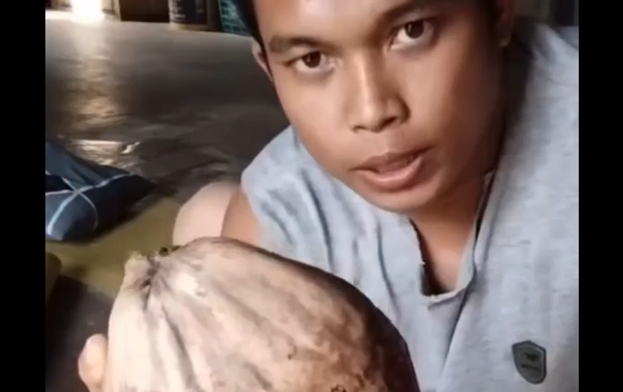 ��� �� ���� �������� ������� ����� ������� (�����)