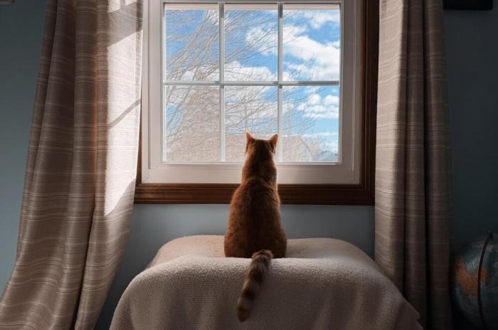 ����- ������ (30 ����)