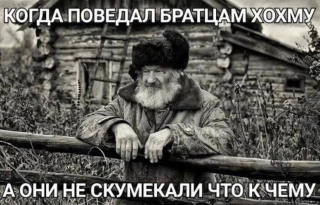 ������� �������� (15 ����)