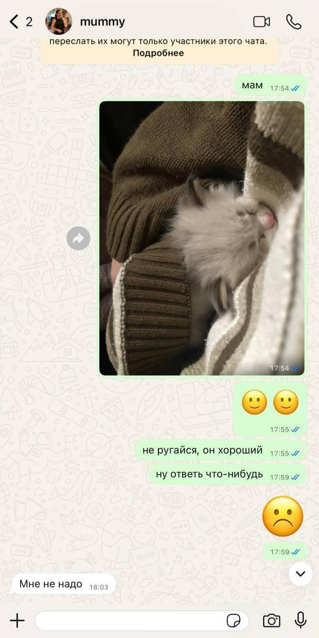 ��� �� ������ ���� ����������� ������ �������� (2 ����)