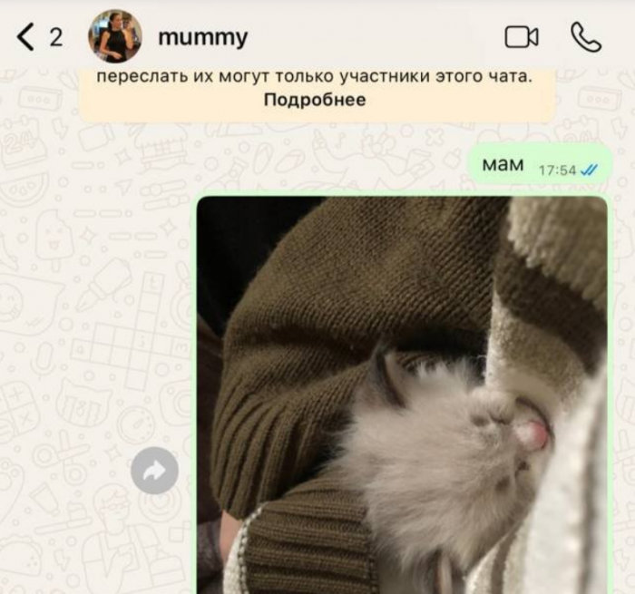 ��� �� ������ ���� ����������� ������ �������� (2 ����)