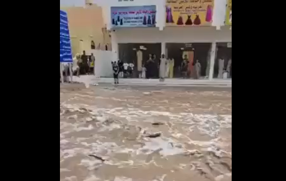 � ����� ����� ���� ������ �� ����� ������ (�����)