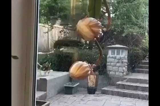 "�������� ����" ������ ������ ����� � ������ ��� � ��� (�����)