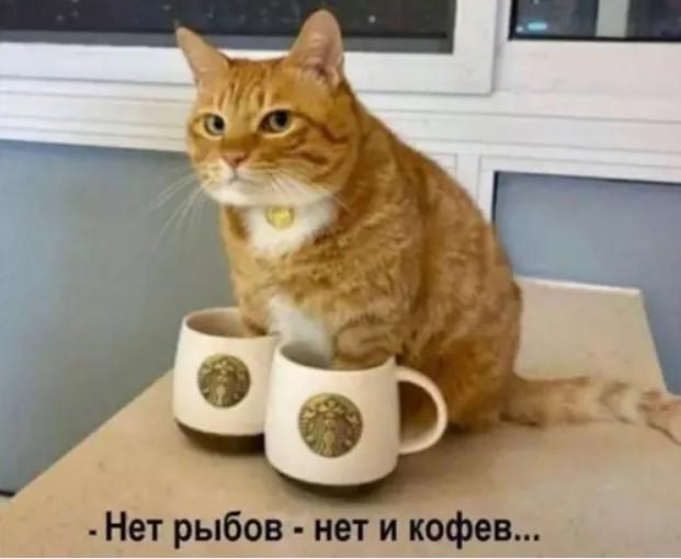 ������� �������� (15 ����)