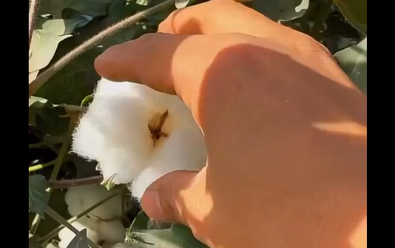 ���� ��, �����, �� �����, ��� �������� ��������� ������ (�����)