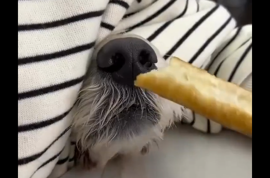 ���� ��� �� ��������� (�����)