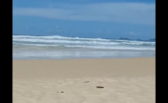 �������� � ��� ������ (�����)