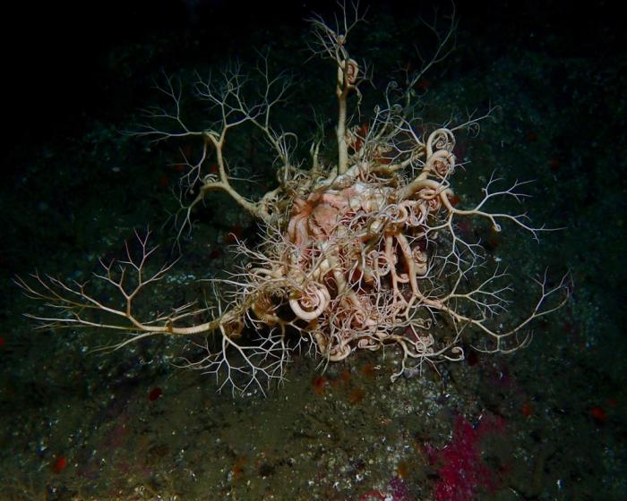 ���������� ����� �������, ������� ����� ������� ������ (18 ����)