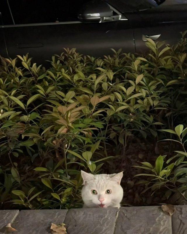 ��������� ������� ���� �� �������� (5 ����)