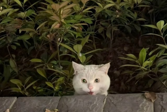 ��������� ������� ���� �� �������� (5 ����)