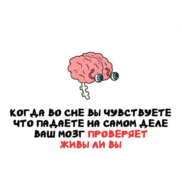 ���������� ����� �� ��� ������ ����� (15 ����)