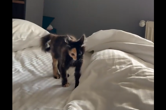 ���������� ����� � ������� (�����)