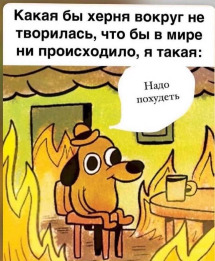 �������� ���������� ���� �3917 (30 ����)