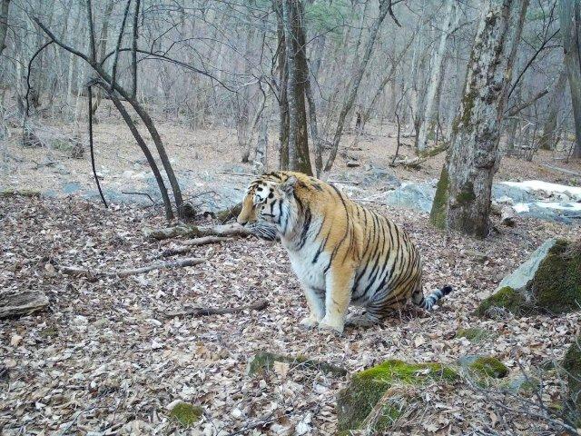 ��������, ������� ���� (2 ����)