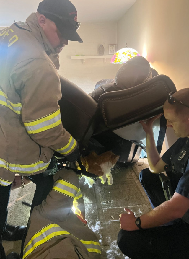 ������� ��� ������� � ������ ����� ������� � ���������� (2 ����)