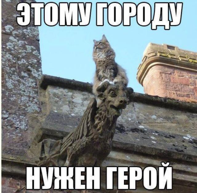 �������� ���������� ���� �3918 (30 ����)