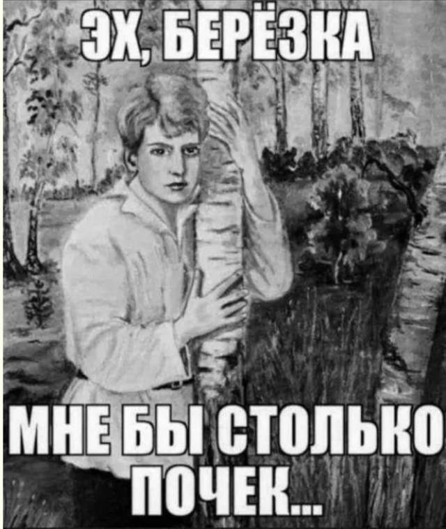 ������� ���� (15 ����)