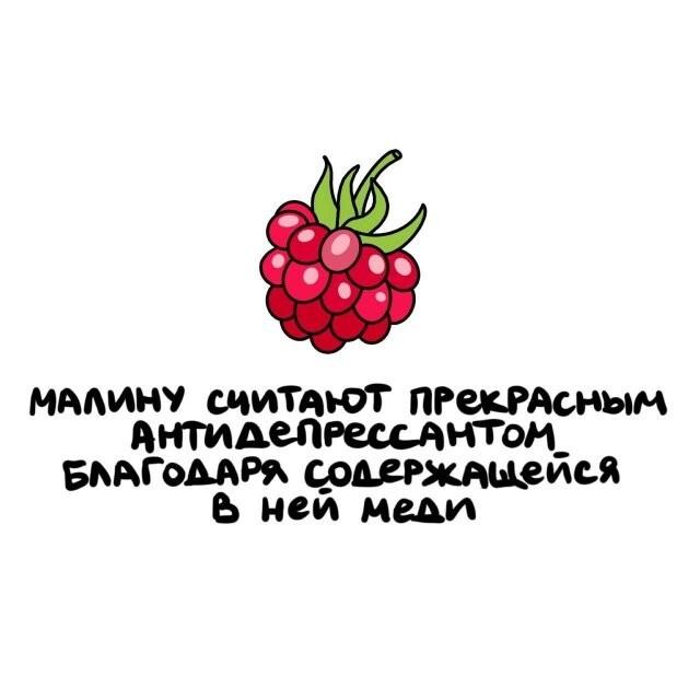 ���������� ����� �� ��� ������ ����� (15 ����)