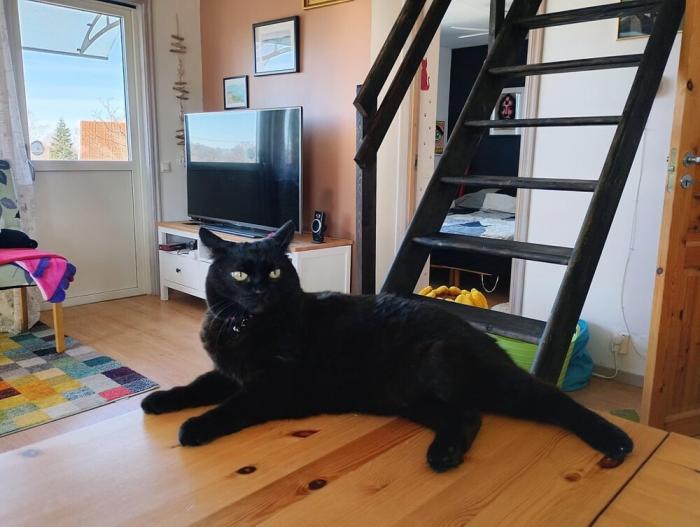 ���������� ����������, �� ������� ������� ��������� ������ (20 ����) 