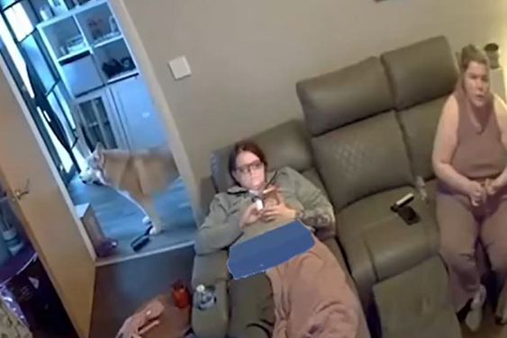 ϸ�, ������� �������� �� ���� ����� (�����)