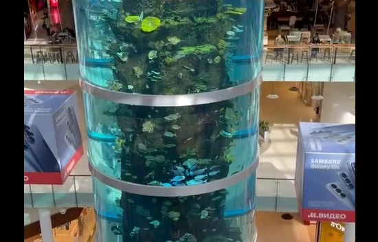 ������ ������� (�����)