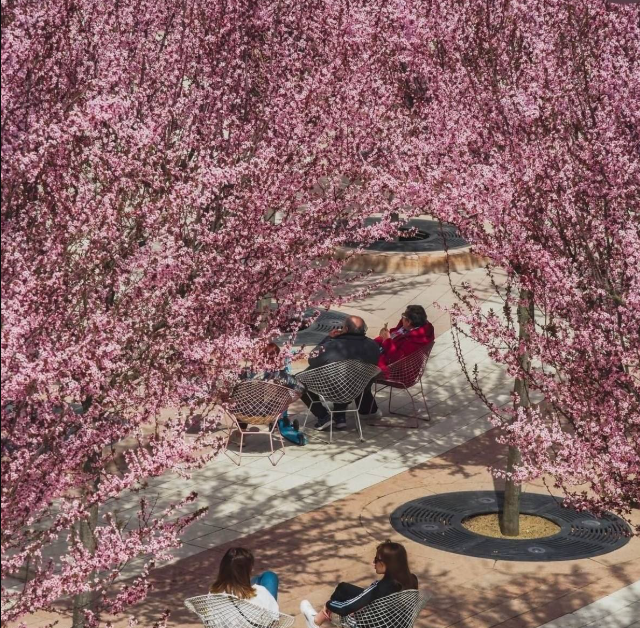 ��������� � �����: ����� ����� ��������� �������� ������ (7 ����)