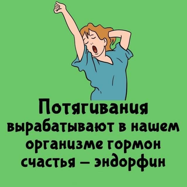 ���������� ����� �� ��� ������ ����� (15 ����)