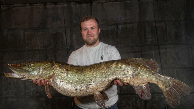 � �������-���� ������� 9-������������� ���� � ��������� ������� (3 ����)